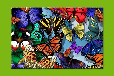 Категория "Бабочки" картина 11-0010 размер L