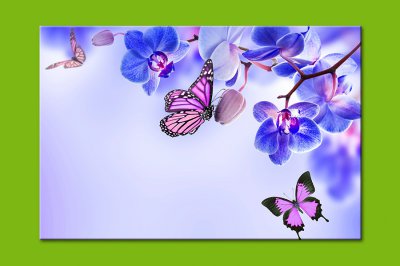 Категория "Бабочки" картина 11-0011 размер L