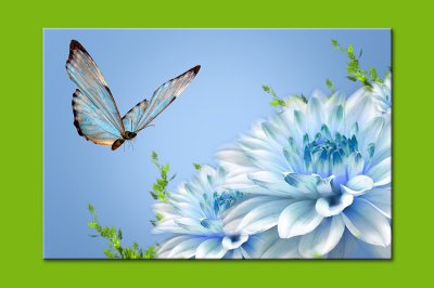 Категория "Бабочки" картина 11-0016 размер XL